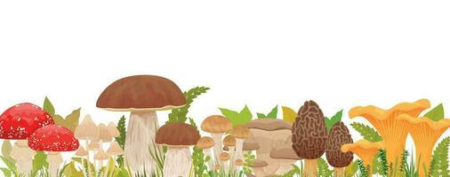 Mushrooms Flat Horizontal Composition vector