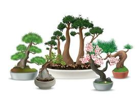 bonsai arboles composición vector