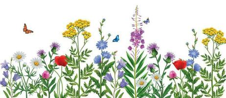 Realistic Wildflowers Field vector