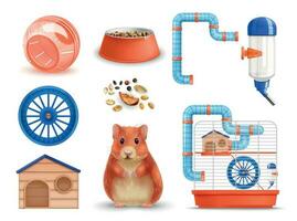 Realistic Hamster Set vector