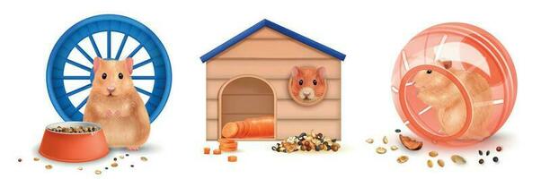 Realistic Hamster Compositions vector