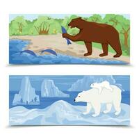 Grizzly Bears Flat Banners vector