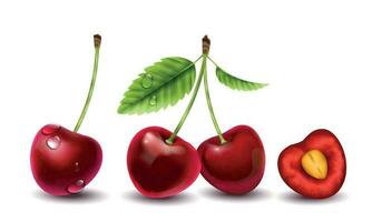 Realistic Cherry Berries Composition vector