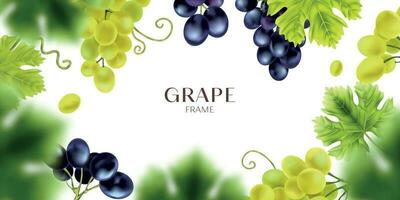 Realistic Grape Frame Composition vector