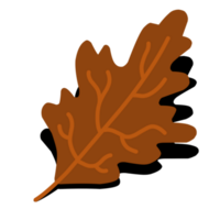 Autumn fall leaves png