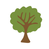 carino poco albero png