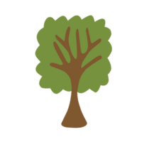 carino poco albero png