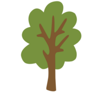 carino poco albero png