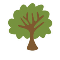 carino poco albero png