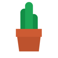 linda pequeño cactus png