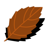 Herbst Herbst Blätter png