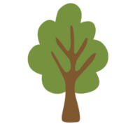 linda pequeño árbol png