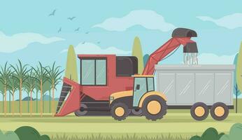 Sugar Cane Harvesting Illustration vector