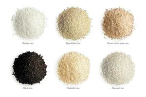 Rice Varieties Realistic Collection vector