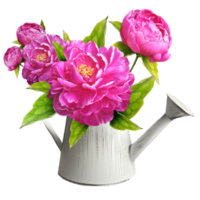 bouquet of peonies in a watering can illustration png