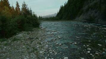 aereo Visualizza di montagna ruscello o fiume fluente nel il verde valle. tatra montagne, Polonia video