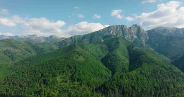 hermosa montaña paisaje en verano, bosque y rocas zakopane video