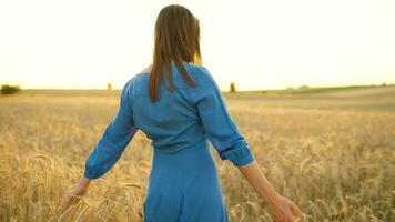 Woman spinning in the middle of a field of ripe wheat. Slow motion video
