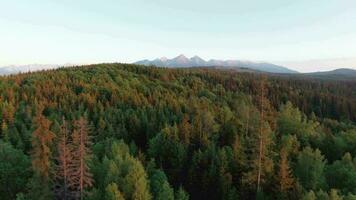 Antenne Aussicht von ein Sommer- Berg Landschaft mit ein Haus und ein Fluss im das Vordergrund und Felsen bedeckt durch Wolken im das Hintergrund video