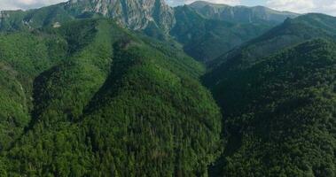 hermosa montaña paisaje en verano, bosque y rocas zakopane video
