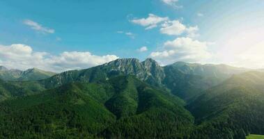 magnifique Montagne paysage dans été, forêt et rochers. Zakopane video