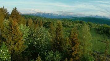 Aerial view of a summer mountain landscape. Tatra Mountains, Poland video