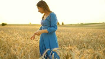 donna Filatura nel il mezzo di un' campo di maturo Grano. lento movimento video