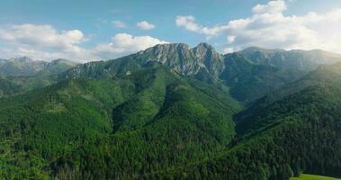 lindo montanha panorama dentro verão, floresta e pedras. zakopane video