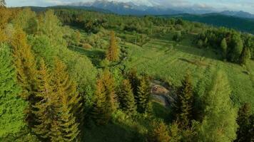 antenne visie van een zomer berg landschap. tatra bergen, Polen video