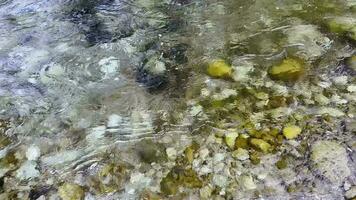 Oberfläche von ein Berg Bach mit Kristall klar Berg Wasser, Steine beim das Unterseite video