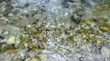 superfície do uma montanha Riacho com cristal Claro montanha água, pedras às a inferior video