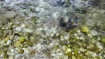 Oberfläche von ein Berg Bach mit Kristall klar Berg Wasser, Steine beim das Unterseite video