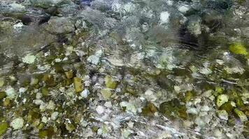 Surface of a mountain creek with crystal clear mountain water, stones at the bottom video