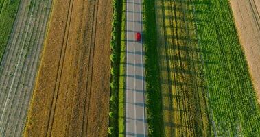 superiore giù Visualizza di il strada e rosso auto guida lungo esso a tramonto video