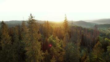 Aerial view of a bright autumn forest and a village on the slopes of the mountains in the fog at dawn video