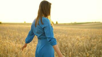 donna Filatura nel il mezzo di un' campo di maturo Grano. lento movimento video