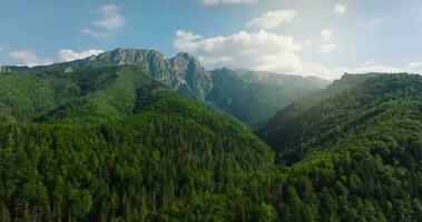 Beautiful mountain landscape in summer, forest and rocks. Zakopane video