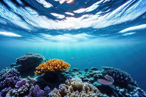 Sea Underwater Colorful Background. photo