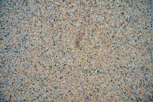 Grunge flecked stone vector pattern. Flecked stone pattern. Dot texture pattern photo