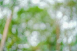 Blur abstract background green trees and a cloudy blue sky photo