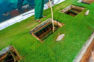 The Cu Chi tunnels. The staff showing use the trap in Cu Chi tunnels. It's used in Vietnam war. Famous tourist attraction in Vietnam. Stock photo