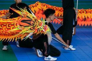 Ho Chi Minh, Viet Nam - 22 April 2023 Dragon dance, celebrate the new year. At the park photo