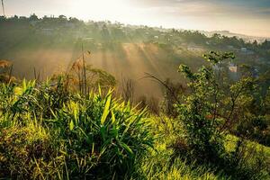 Golden light rays shining down to mountains. Sun rays over valley. Sun rays over hill photo
