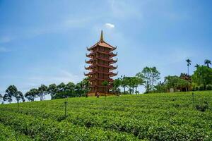 Bao Loc, Vietnam - 01 May 2023 Beautiful view of Bat Nha Pagoda in Bao loc city, Lam Dong province, Vietnam. photo