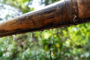bambú con agua corriente terminado el agua , relajación con agua onda gotas concepto foto