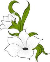 Illustration of white flower. vector