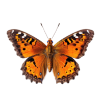 tropical borboleta isolado. ilustração ai generativo png