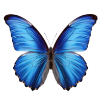 bleu papillon isolé. illustration ai génératif png