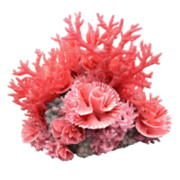 Coral reef isolated. Illustration AI Generative png