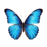 bleu papillon isolé. illustration ai génératif png